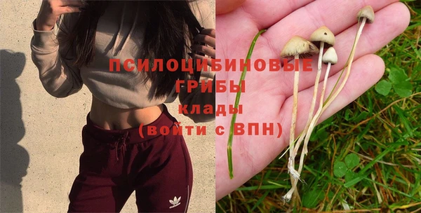mdpv Арсеньев