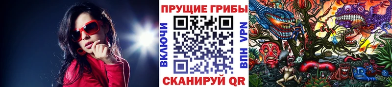Галлюциногенные грибы прущие грибы  kraken зеркало  Бирюсинск 