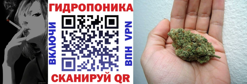 где продают наркотики  Бирюсинск  Шишки марихуана сатива 